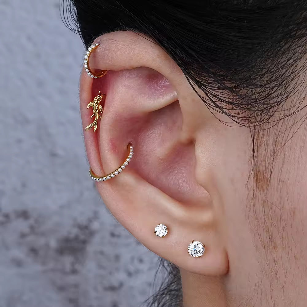 Koi Labret