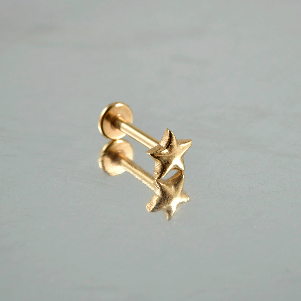 Dusty Star Labret