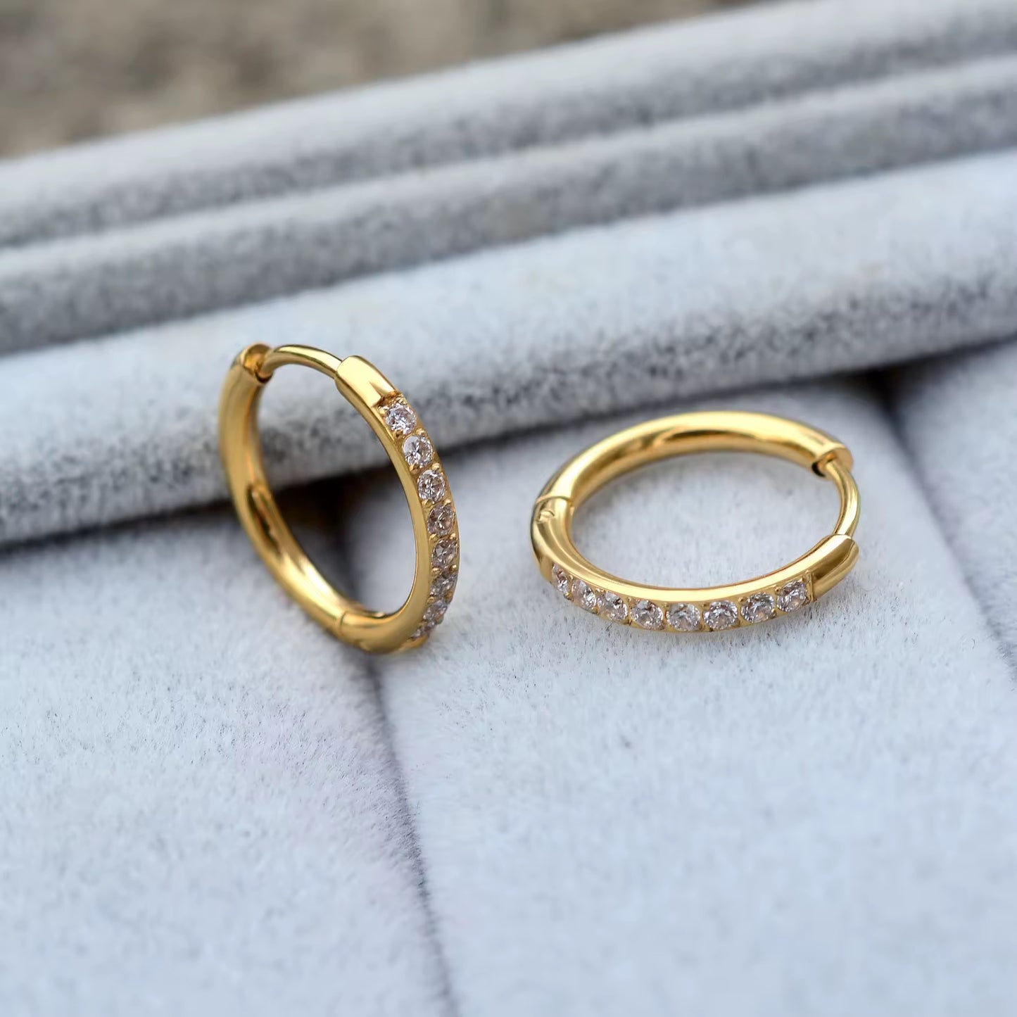 Anne Hoops