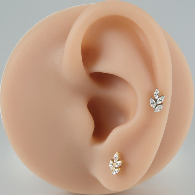 Sparkling Leaf Labret